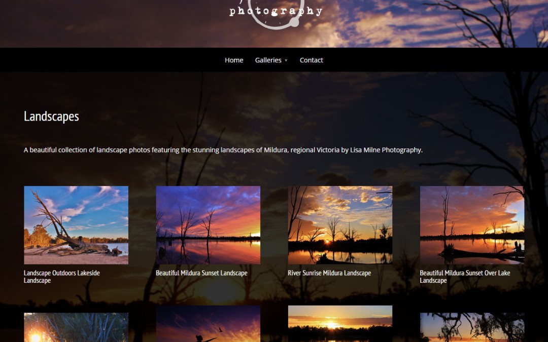 Lisa Milne Photography